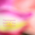 Flamingosis Next&#x20;To&#x20;You&#x20;&#x28;Ticklish&#x20;Remix&#x29; Artwork