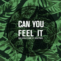 Max Liese & Elenne (ft. Drea d'Nur) - Can You Feel It