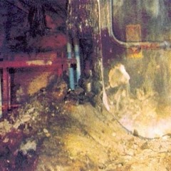 2 ADEENE - Ocaso Converted