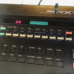 Yammy Rx11 Acid - 1-1