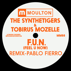 Premiere: The SyntheTigers & Tobirus Mozelle - F.U.N (Feel U Now) (Pablo Fierro Remix)