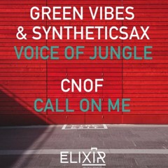 Green Vibes & Syntheticax - Voice Of Jungle (Clip)