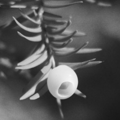 Machine 7 (excerpt)