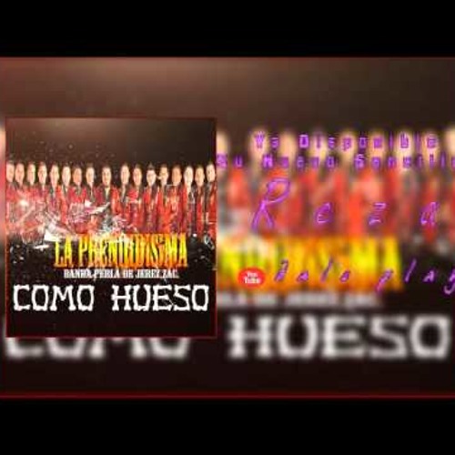 Reza<*La Prendidisima Banda Perla De Jerez*>