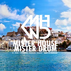 Hot Ibiza (Original Version) - Mister House & Mister Drum