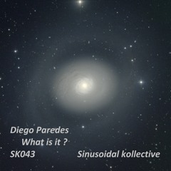SK043 : What is this? - Diego Paredes (Original Mix)