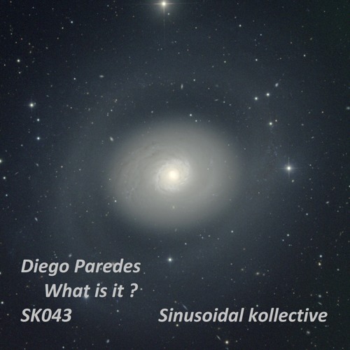 SK043 : What is this? - Diego Paredes (Original Mix)