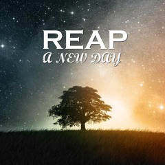 Reap - A New Day