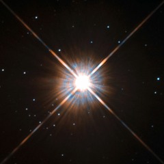 Solar Winds of Proxima Centauri