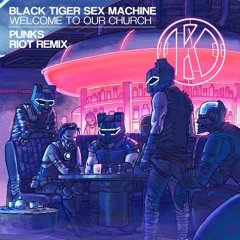 Black Tiger Sex Machine - Punks (RIOT Remix)
