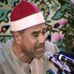 راغب مصطفى غلوش - سورة الشمس