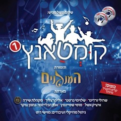 Sruly Werdyger - Chassidish Medley | שרולי ורדיגר - מחרוזת ורדיגר
