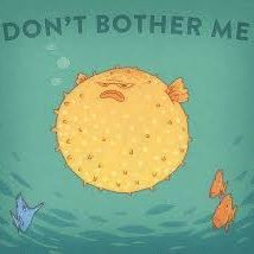 Dont Bother Me