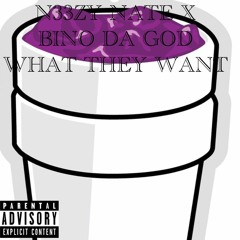 What They Want - N33zy Nate X Bino Da God    PROD:Young iNFO