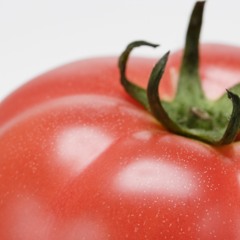 【結月ゆかり】トマトの存在（sample） -Presence Of Tomatoes/Yuzuki Yukari