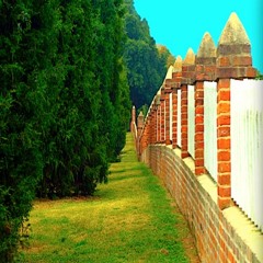 Bill Lloyd Back To Even (2004)sampler 2