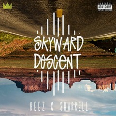 SKYWARD DESCENT (prod. TAEBEATS)