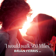 The Proclaimers - 500 Miles (Brian Ferris Private Remix)