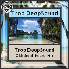 TropiDeepSound - Oldschool House Mix