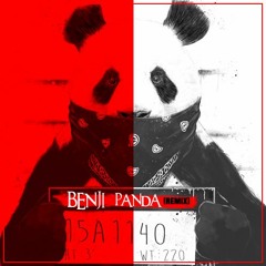 Benji - Panda