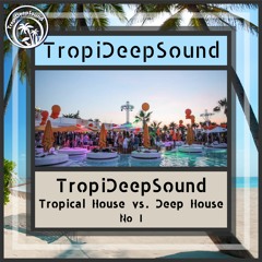TropiDeepSound - Tropical House vs. Deep House No 1