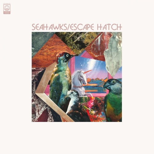 PREMIERE: Seahawks - Escape Hatch [Ocean Moon]