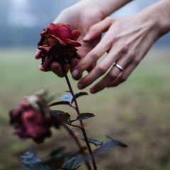 Nicebeatzprod. X ☾穂ＭｅｎｔａｌＡｆｆｅｃｔｉｏｎ穂☽ - Сердце Камнем Упало На Пол