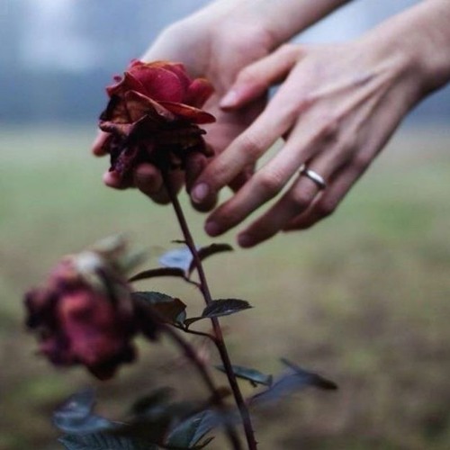 Nicebeatzprod. X ☾穂ＭｅｎｔａｌＡｆｆｅｃｔｉｏｎ穂☽ - Сердце Камнем Упало На Пол