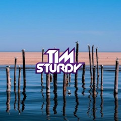 Spotlight Mix #5 | Phlegmatic Dogs | by Tim Sturdy