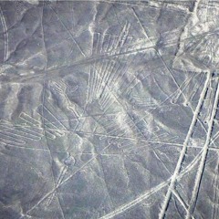 Nasca Seedz