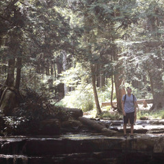 No Accidents Brought Us Here