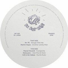PREMIERE: Martin Hayes - Another Lonely Man [In Any Case]