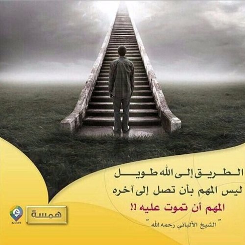 Stream Shereen Helmy | Listen to قفزة الشبر 2 playlist online for free ...