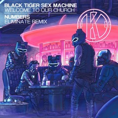 Black Tiger Sex Machine - Numbers (Eliminate Remix)
