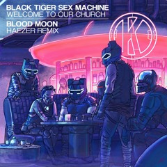 Black Tiger Sex Machine - Blood Moon (HAEZER Remix)