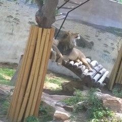 justalilfreestyle. (recorded on phone)