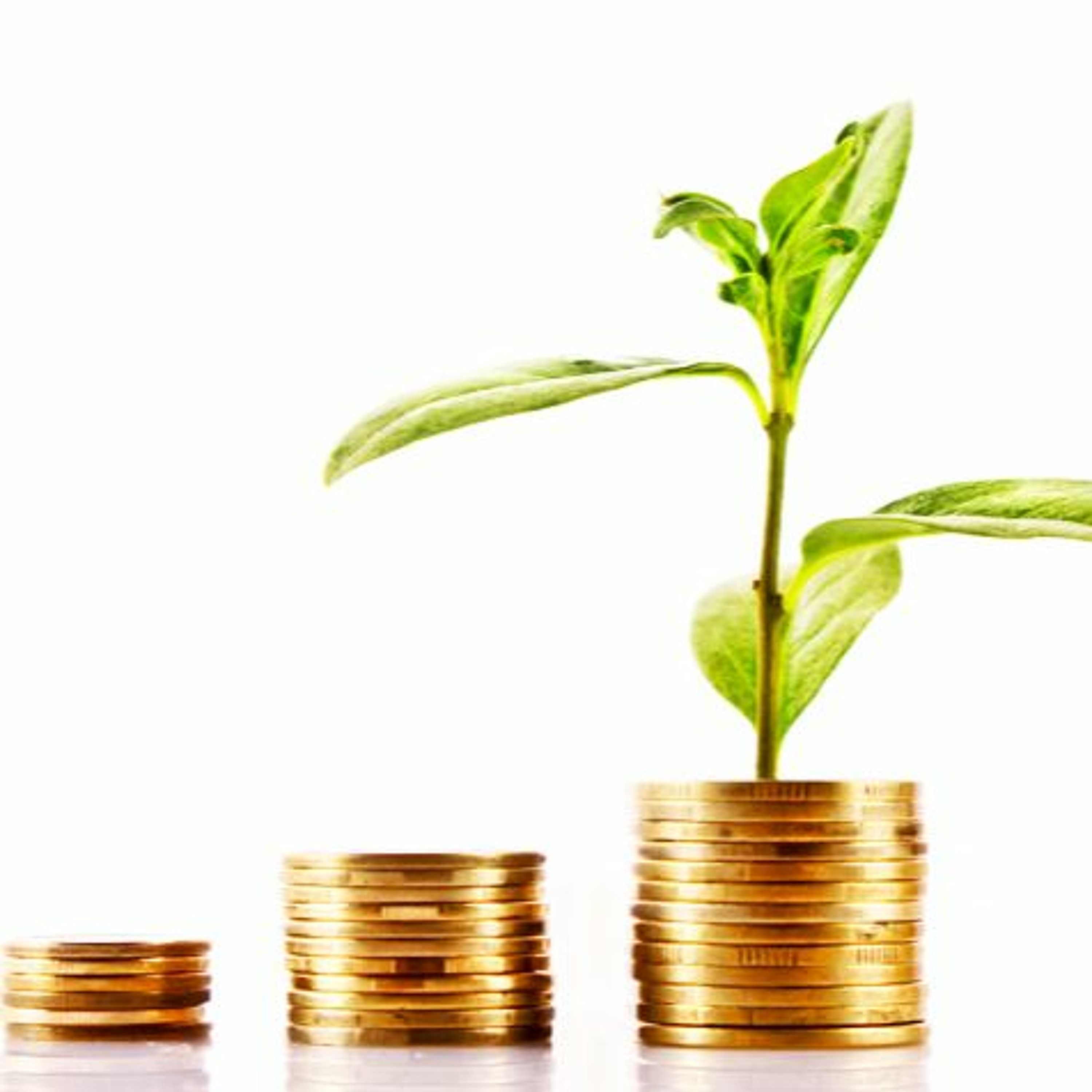 Fee Based Income to Help Grow Your Assets | Private Money Minute #52 episode artwork