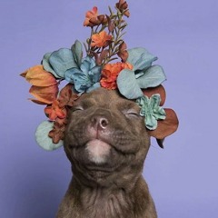 FABRICATING HAPPINESS FT. LORD ROOSKI :) *P.S YOUR WELCOME