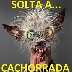 #Progressive02 - Solta A Cachorrada