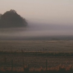 live at nave series ::: 04.16.2016