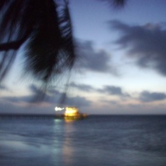 Week 10 - August 2nd to August 9th