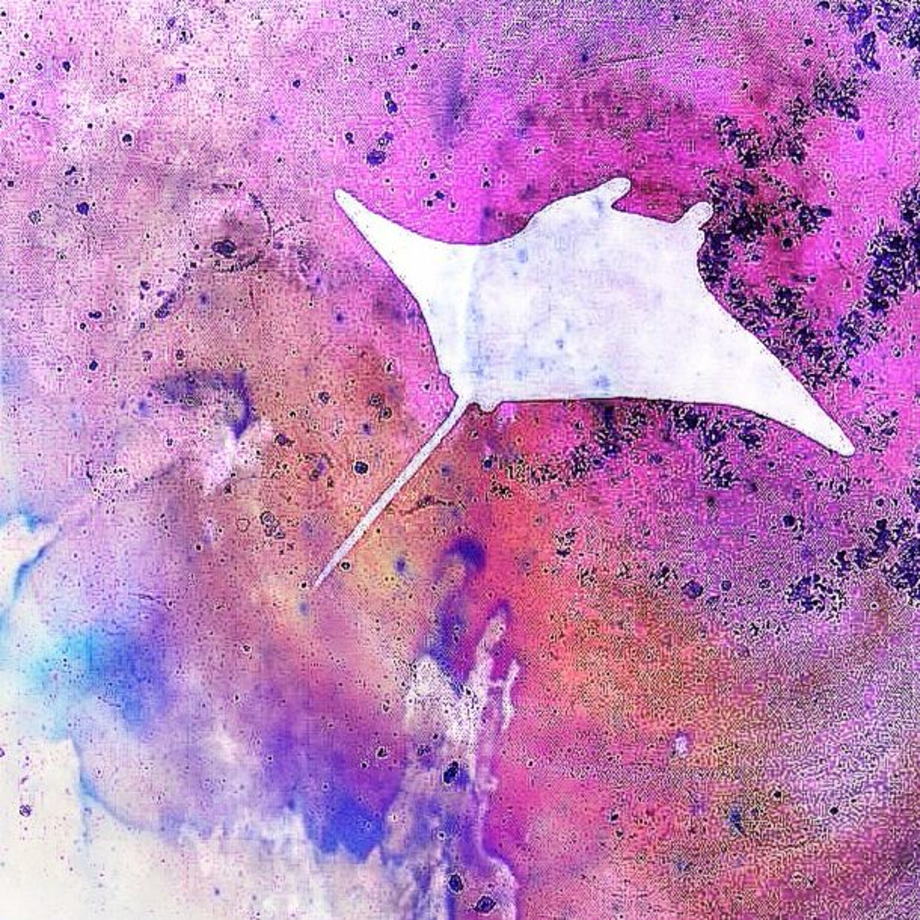 Manta Ray episode artwork