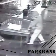 Kurt Kokayn - Parkbank