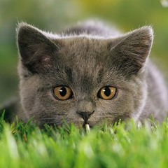 Change (for Satan) (2015 Demo)