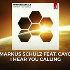 Markus Schulz-I Hear You Calling (Yagiz Bayrak Remix)