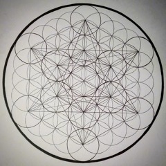 Children Of The Light (Raw)