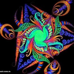 Skazi - Animal