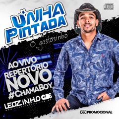 03- Brincou Comigo - Unha Pintada - LEOZINHOCDS