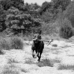 Remington ft. Rhonda