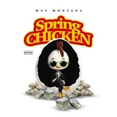 Maverick - "Spring Chicken"